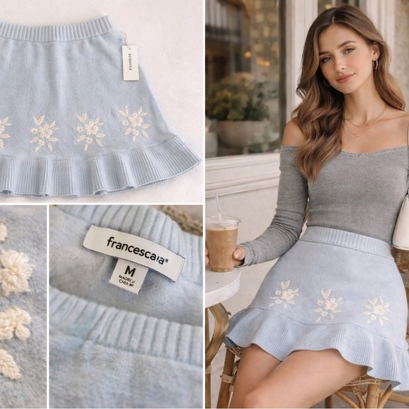 Francesca's Collections Dresses & Skirts - Francesca's Collections Sky Blue Embroidered Mini Skirt